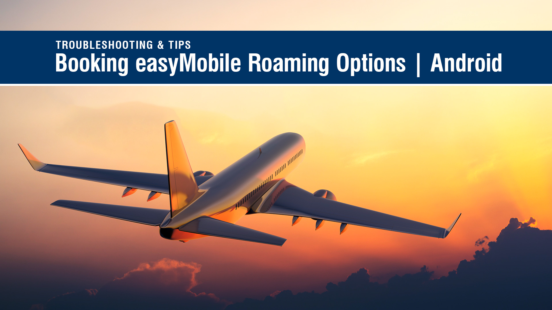 Booking roaming options banner