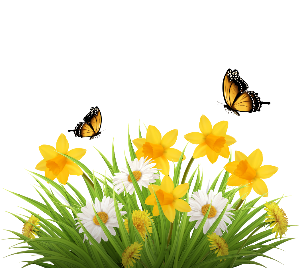 spring flowers and butterflies
